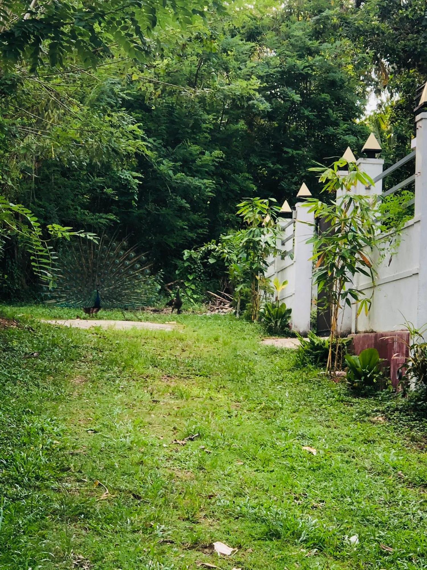 Lanka Villa Mirissa Exterior photo